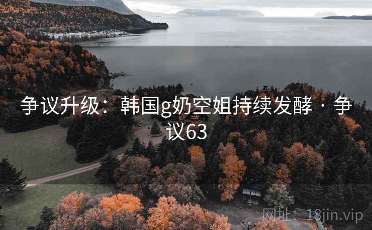 争议升级：韩国g奶空姐持续发酵 · 争议63  第2张